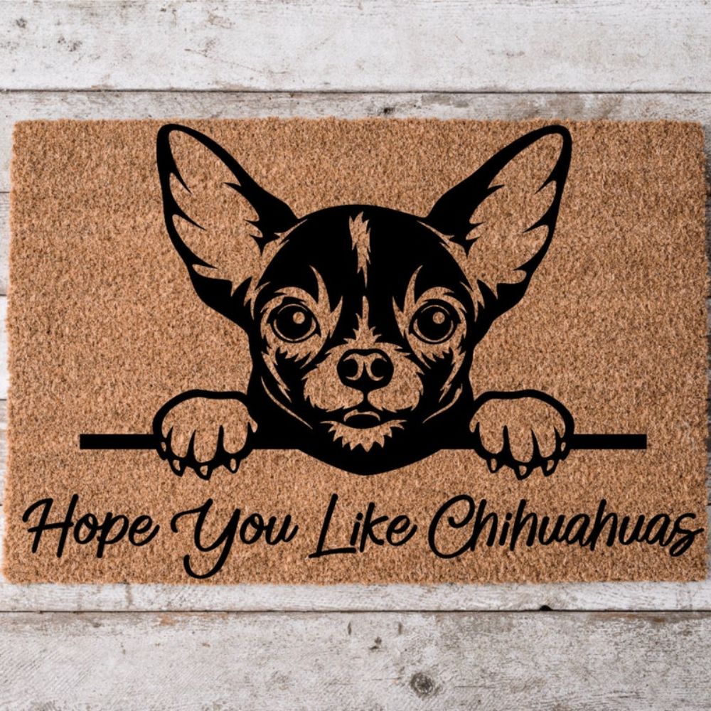 Cate Nhi 12 - Chihuahua Stuff