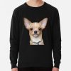 ssrcolightweight sweatshirtmens10101001c5ca27c6frontsquare productx1000 bgf8f8f8 - Chihuahua Stuff