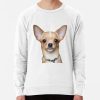 ssrcolightweight sweatshirtmensfafafaca443f4786frontsquare productx1000 bgf8f8f8 - Chihuahua Stuff