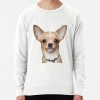 ssrcolightweight sweatshirtmensfcfcfae7fde99dd4frontsquare productx1000 bgf8f8f8 - Chihuahua Stuff