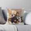 throwpillowsmall1000x bgf8f8f8 c020010001000 3 - Chihuahua Stuff