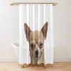 urshower curtain closedsquare1000x1000.1 16 - Chihuahua Stuff